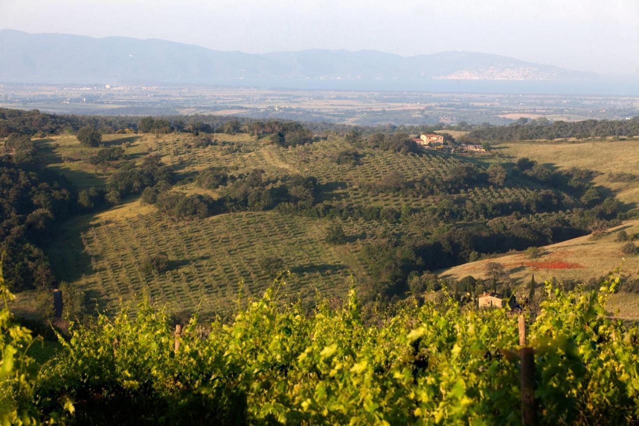 Bed and Breakfast Casale Sterpeti Magliano in Toscana Exterior foto